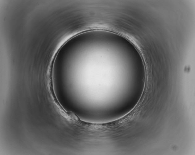 X0000099421056200805091238