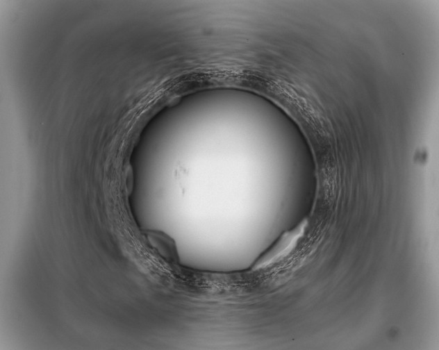 X0000099421057200805091238