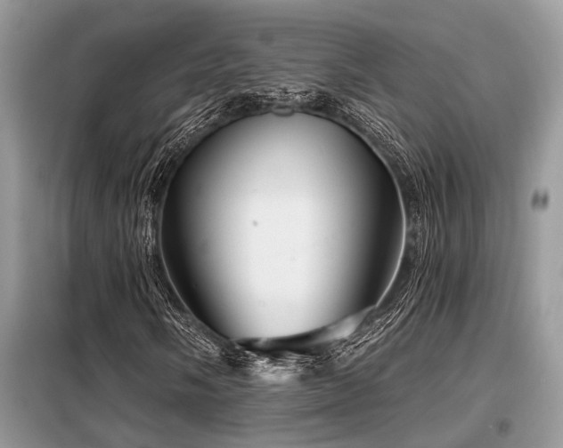 X0000099421058200805091238