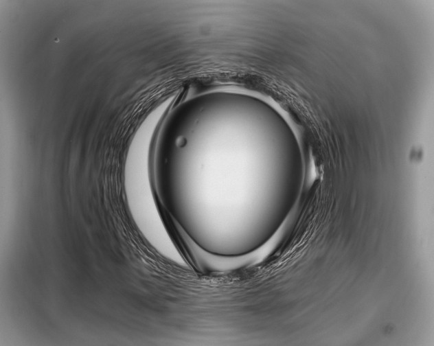 X0000099421059200805091238