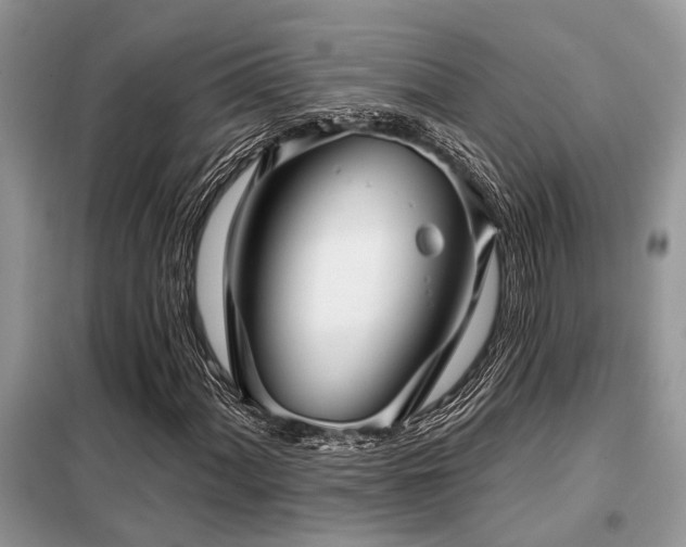 X0000099421060200805091238