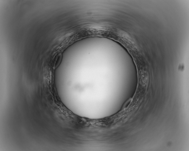 X0000099421061200805091238