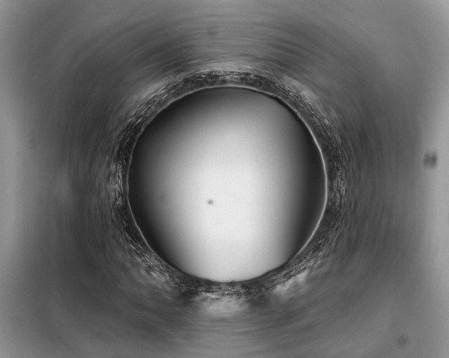 X0000099421062200805091238