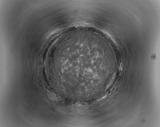X0000099421063200805091238