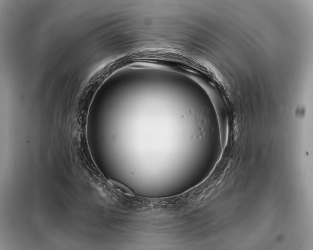 X0000099421064200805091237
