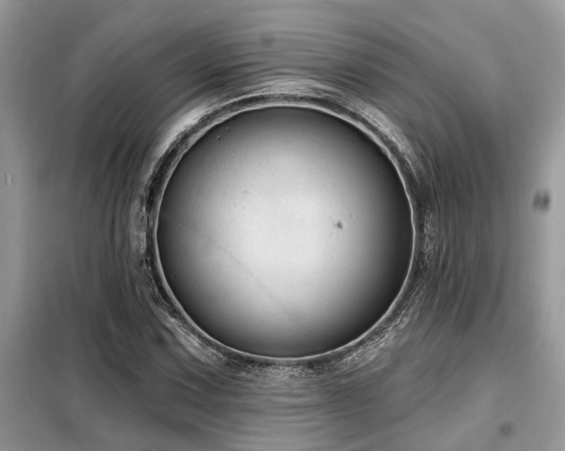 X0000099421067200805091237