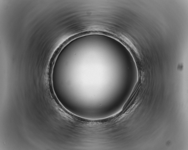 X0000099421068200805091237