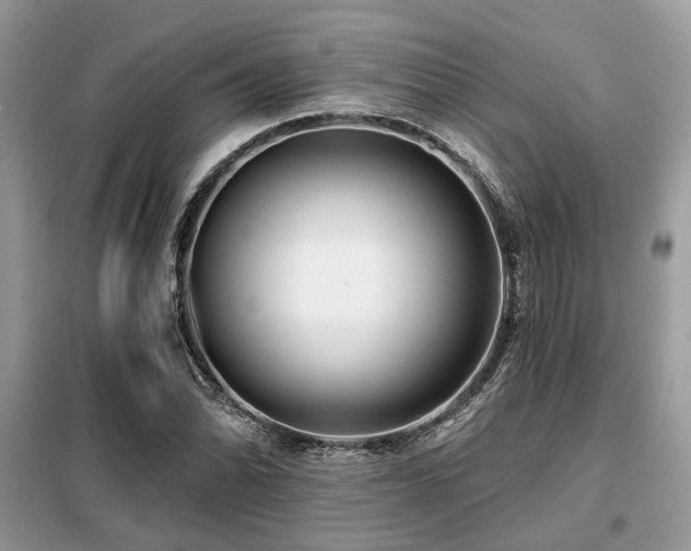 X0000099421070200805091237