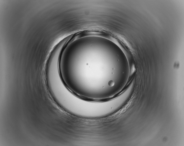 X0000099421071200805091237