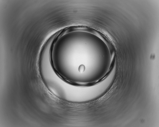 X0000099421072200805091237