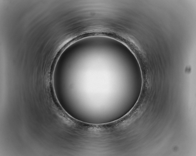 X0000099421073200805091237