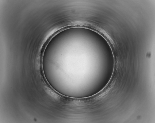 X0000099421075200805091237