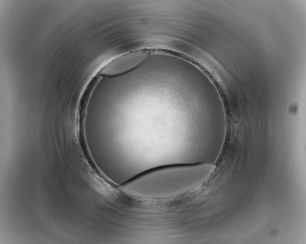 X0000099421076200805091237