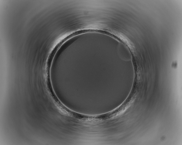 X0000099421077200805091237