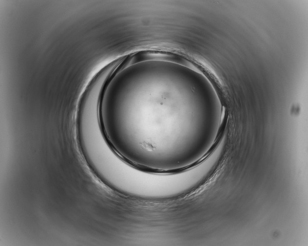 X0000099421079200805091237