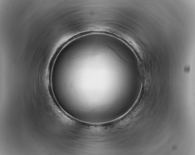 X0000099421080200805091237