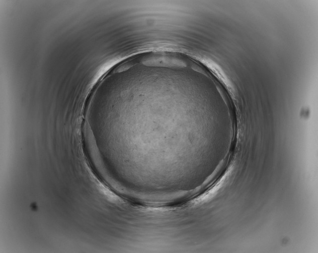 X0000099421081200805091237