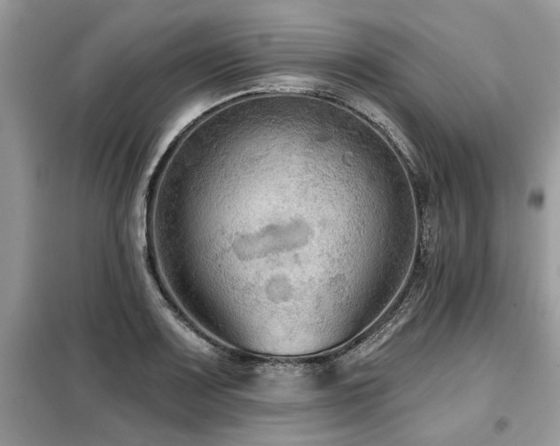 X0000099421083200805091237