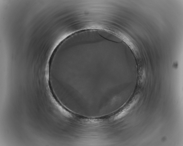 X0000099421084200805091237