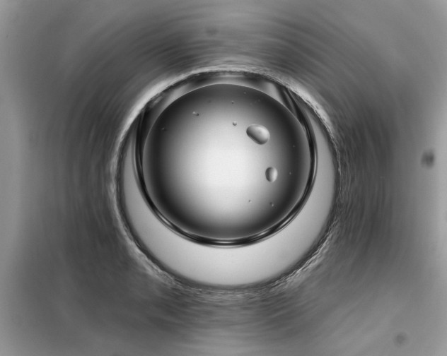 X0000099421085200805091237