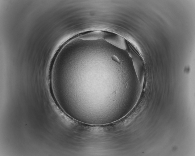 X0000099421088200805091237