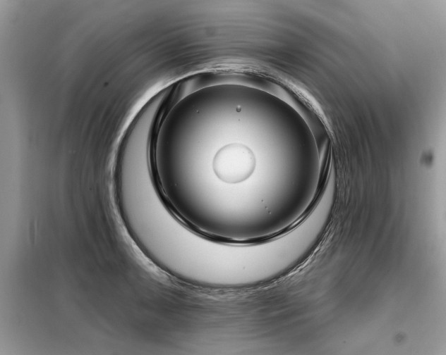 X0000099421091200805091237
