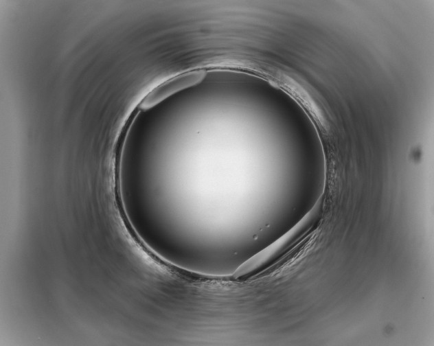 X0000099421092200805091237