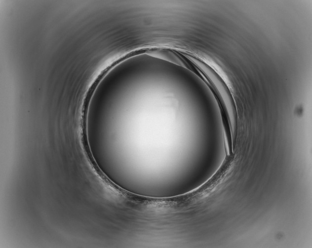 X0000099421093200805091237