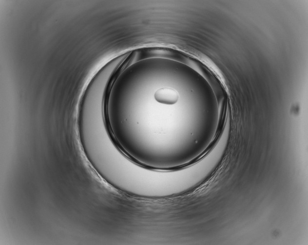 X0000099421096200805091237