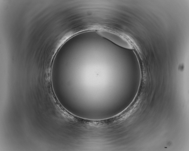 X0000099421097200805091237