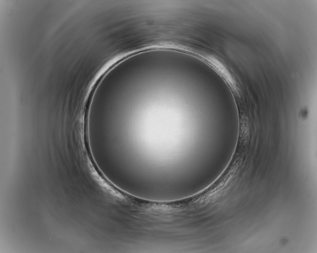 X0000099421100200805091237
