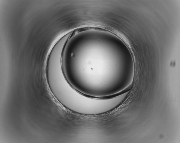 X0000099421104200805091237