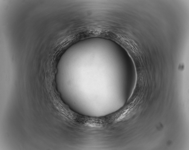 X0000099421105200805091236