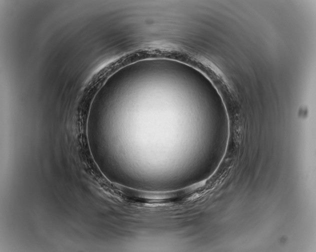 X0000099421112200805091236