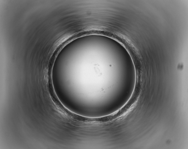 X0000099421113200805091236