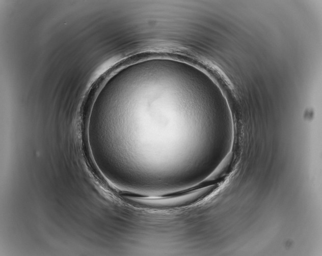 X0000099421114200805091236