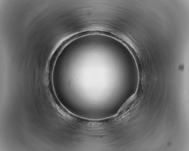 X0000099421116200805091236