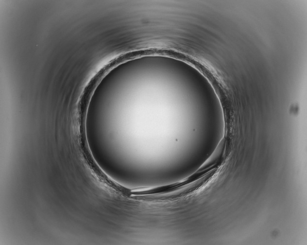 X0000099421118200805091236