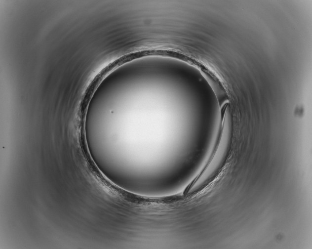 X0000099421119200805091236