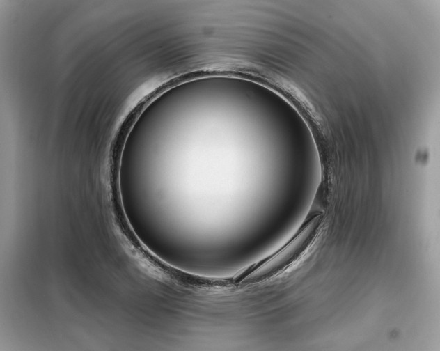 X0000099421122200805091236