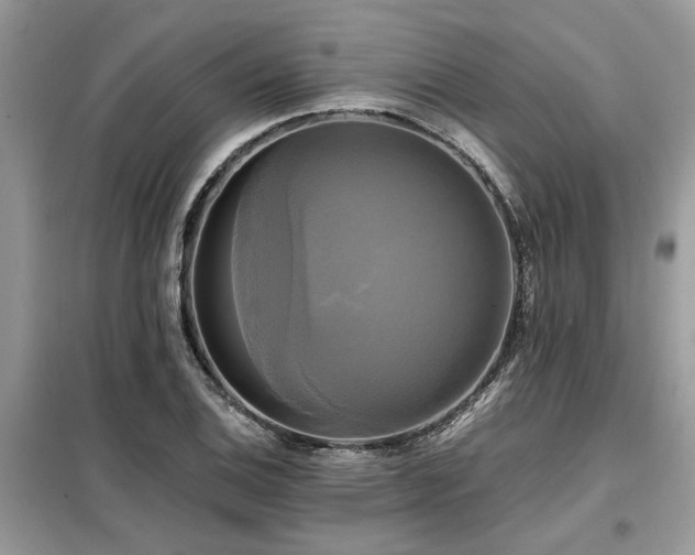 X0000099421124200805091236