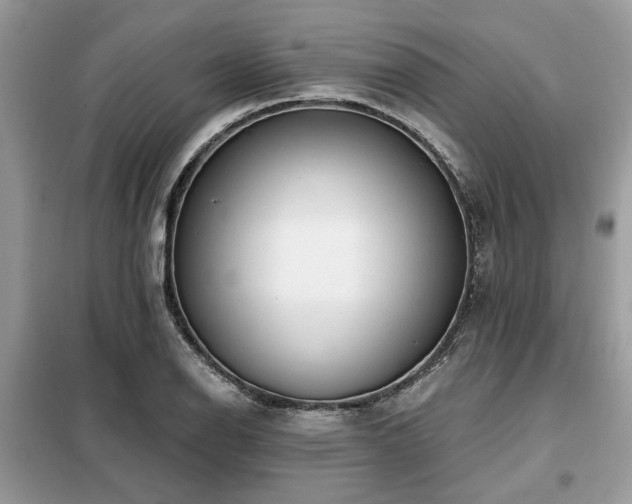 X0000099421126200805091236
