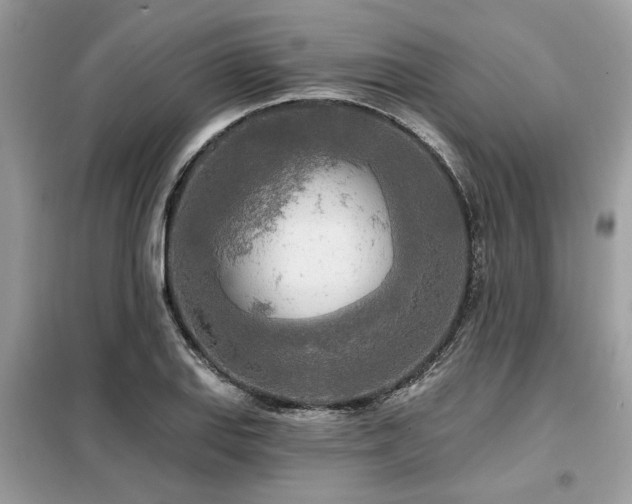 X0000099421127200805091236