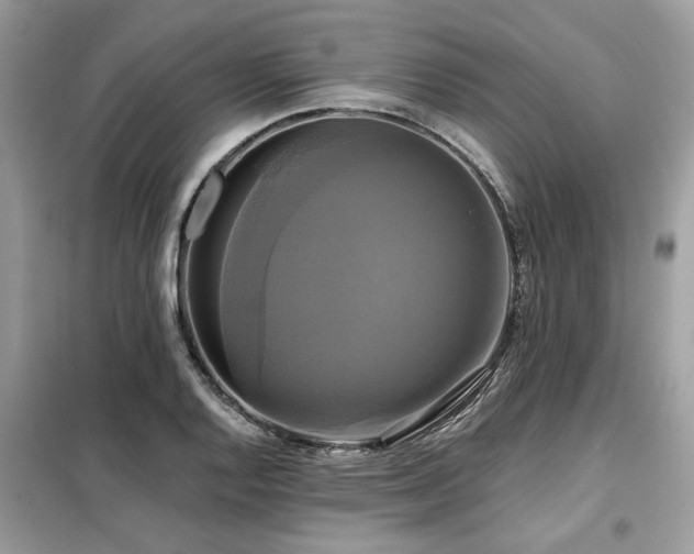 X0000099421128200805091236