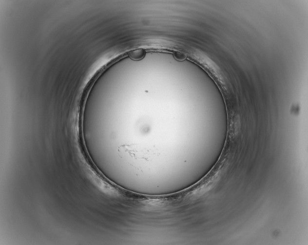 X0000099421130200805091236
