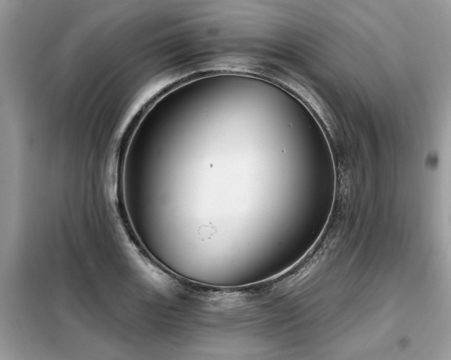 X0000099421131200805091236