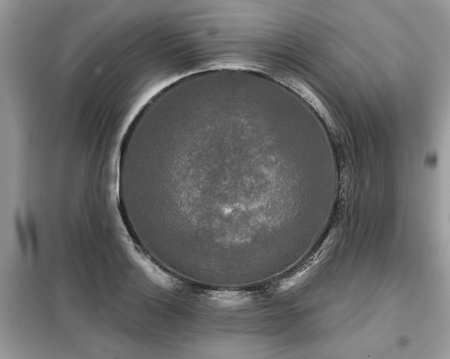 X0000099421132200805091236