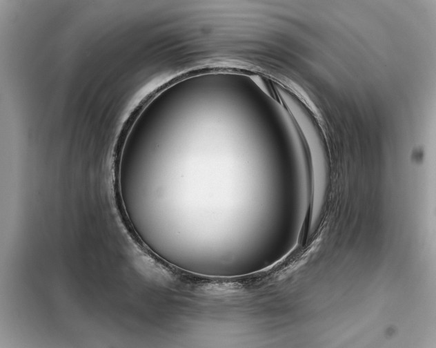 X0000099421133200805091236