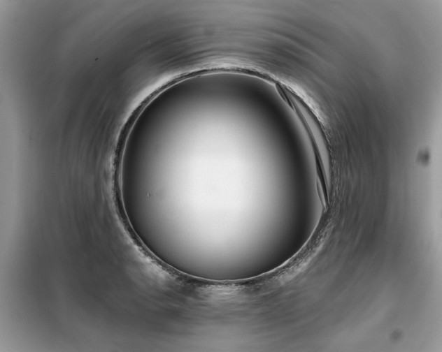 X0000099421134200805091236