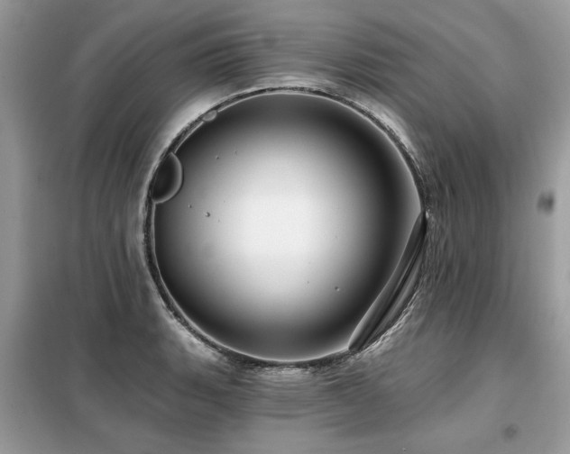 X0000099421135200805091237